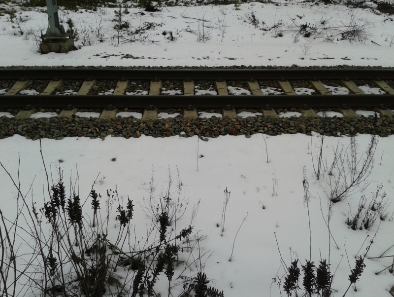 10 mars hosjö räls