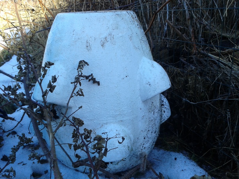 15 mars trädgårdsstäd 04