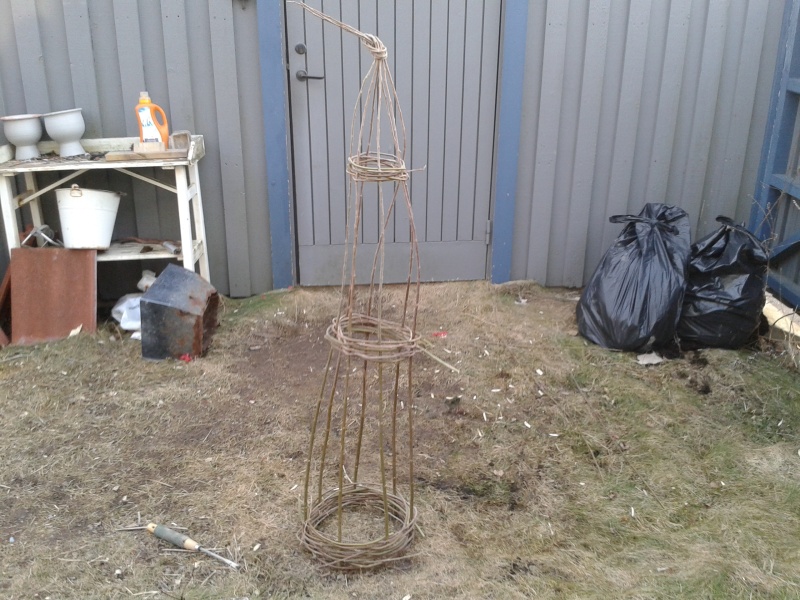 Det färdiga stödet, en kon av videspön med inflätade tunnare spön längst ner, på mitten och längst upp. 27 mars växtstöd 04