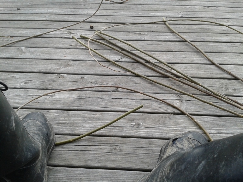 Ett par stövelbeklädda fötter på trädäck, videspön utspridda. 27 mars växtstöd 05