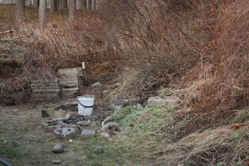 09 april dammhörnet