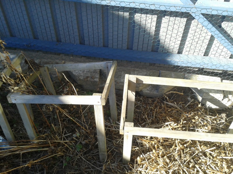 Pionrabatt mot plank, växtstöd av trä, vissna och krossade växtdelar. 1 april pionrabattrensning