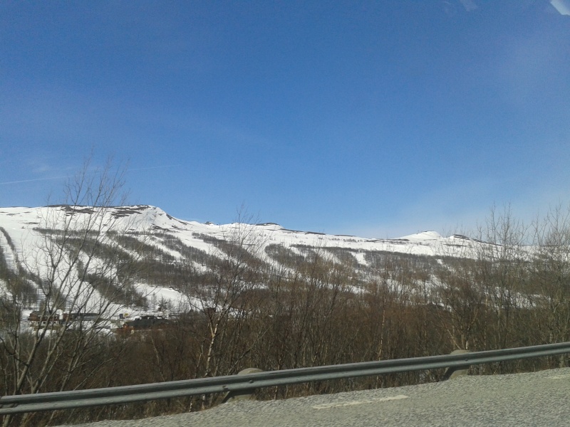 Hamrafjällen från riksväg 84. Del av vägren samt vägräcke i förgrunden, sedan kal björkskog, byggnader, skogklädd bergssida med pistade nerfarter, skoglösa fjälltoppar. 7 maj hamra