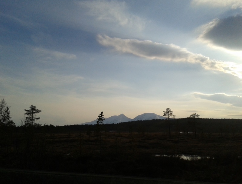 Blå skymningshimmel med moln, trädsilhuetter, vattenblänk, snötäckta fjälltoppar långt borta, myrmark. 7 maj norge 3