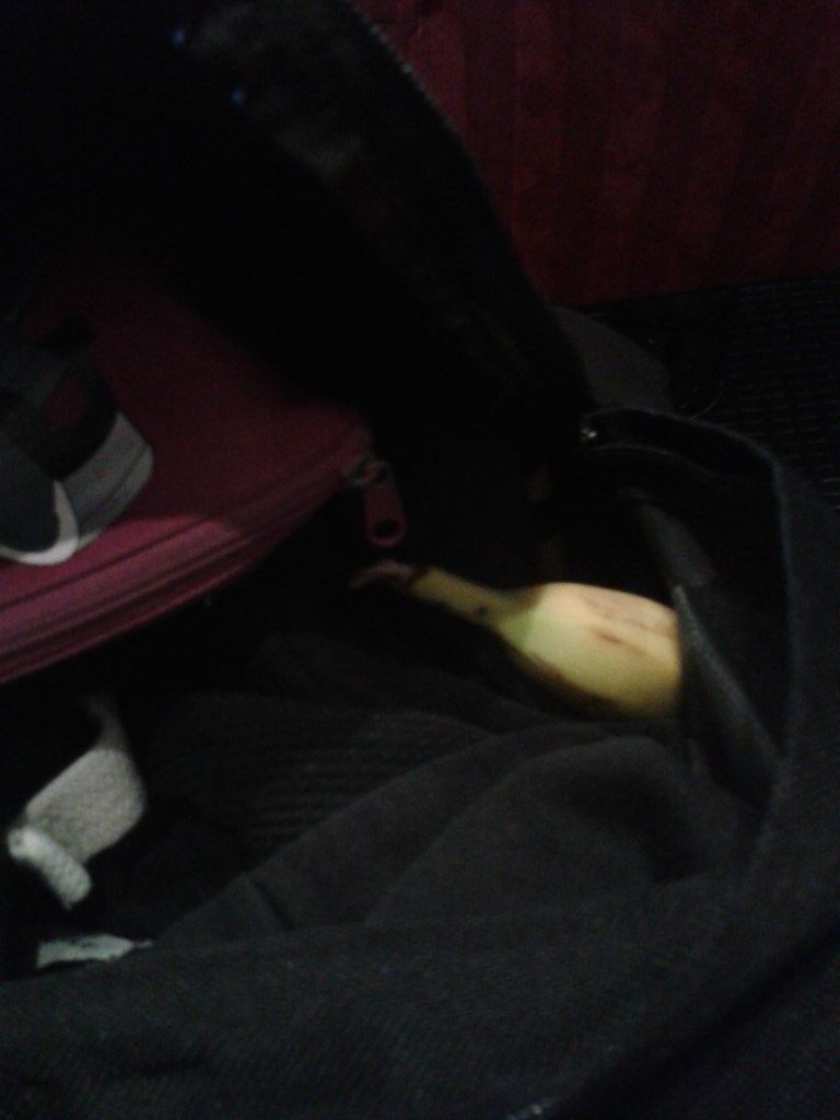Min banan överlevde dagen. Ryggsäcken däremot håller på att spricka i sömmen på ovansidan. Frågan är vilket som vore värst...