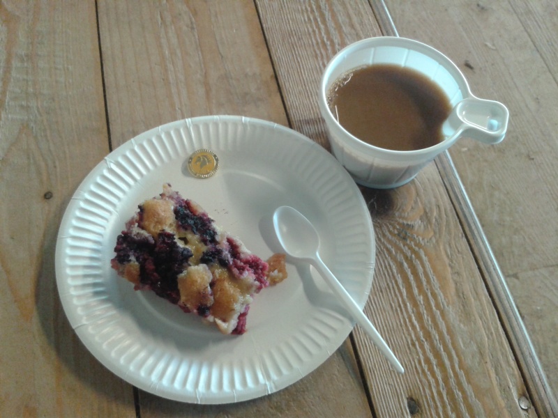 04 juni ridborgarmärket 2016