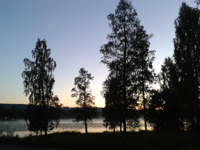 Sjö, berg, dimma, gryning, molnfri himmel, höga björkar i silhuett. 20160803 sommarlåtar