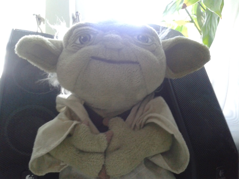 yoda