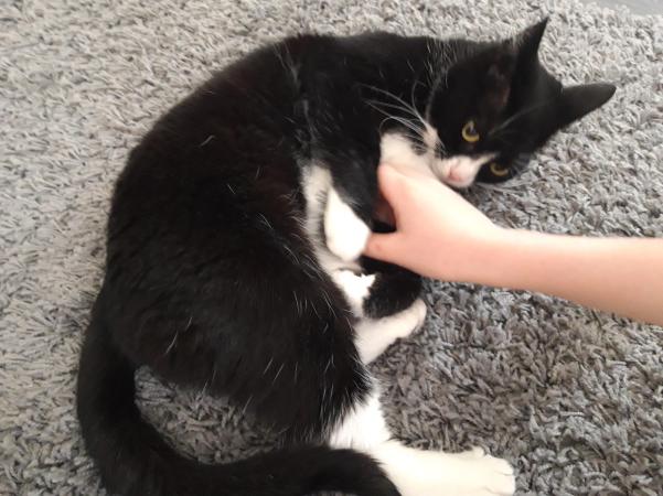 Trulza kelar på golvet